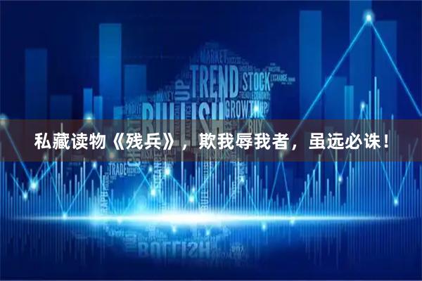 私藏读物《残兵》，欺我辱我者，虽远必诛！