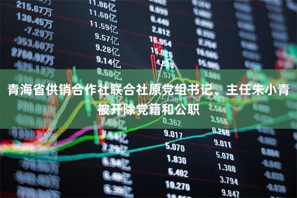 青海省供销合作社联合社原党组书记、主任朱小青被开除党籍和公职
